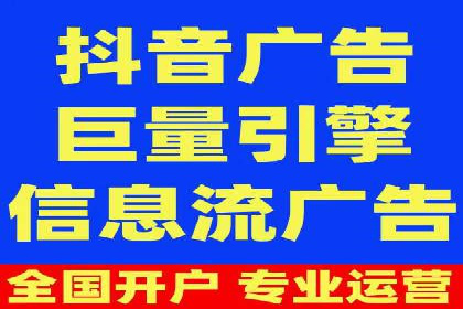 SEM公司案例研究：数据驱动营销策略